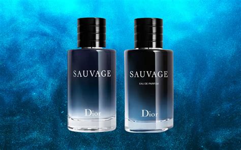 dior homme vs sauvage|dior sauvage differences.